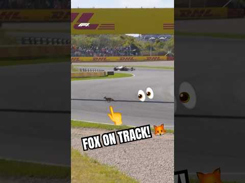 FORMULA 1