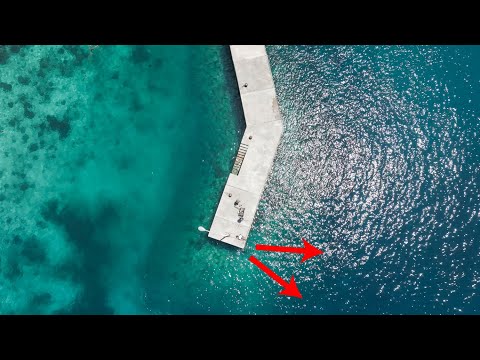 真夏限定であの高級魚が爆沸きする堤防で餌をぶっ込むと…次々に竿が曲がる