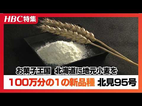 100万分の1の確率で誕生した北海道の菓子用小麦 パティシエ「軽やか」と絶賛 北海道
