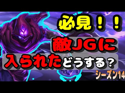 敵のJGが入った時Midはこうしろ！【LOL】【マルザハールvsナフィーリ】