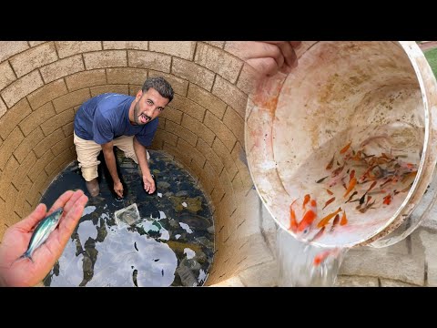 Gandy Konwe Ki Sfai ki Aj Sb Fishes Ko Bahir Nikal Dya🐟🐠