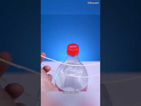 Science experiments 4