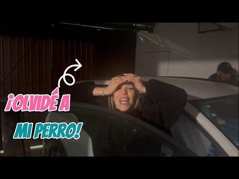 ¡OLVIDÉ A MI PERRO! - SEMANA 10