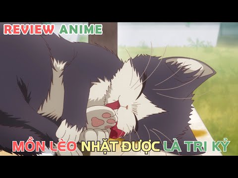 Nhặt Được Chú Mèo Hoang, Tôi Như Gặp Được Tri Kỷ | REVIEW PHIM ANIME HAY