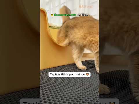 Tapis de litière pour nos félins
