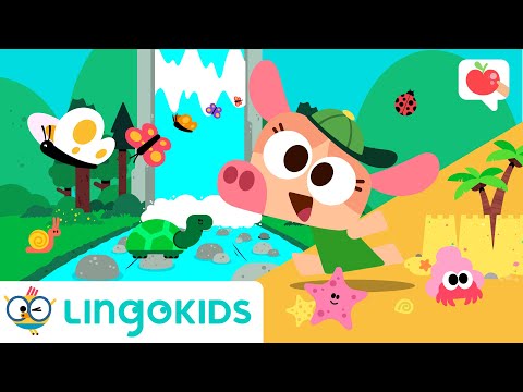 TAKING CARE OF OUR PLANET 🌎 💗 VOCABULARY, SONGS and GAMES | Lingokids