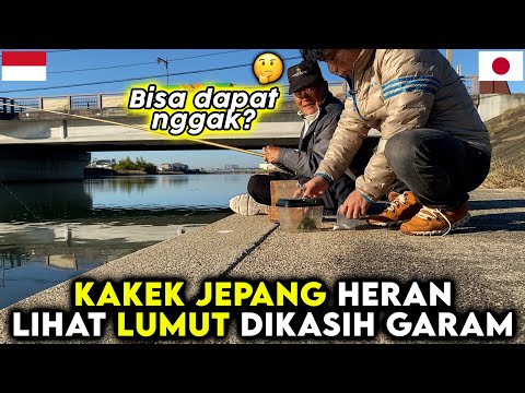 MERTUA JEPANG HERAN LIHAT MANTU INDONESIA MANCING PAKE UMPAN LUMUT