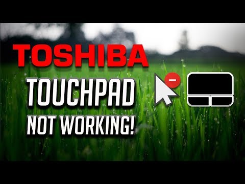 touchpad not working toshiba