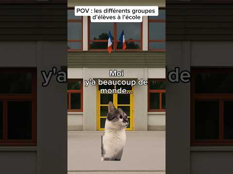 POV : les différents groupes d’élèves à l’école #humour #catmemes #drole #pov #sketch