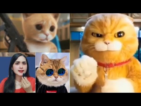 KUMPULAN CERITA KUCING OYEN LUCU, GALAU,SEDIH VS EMAK EMAK