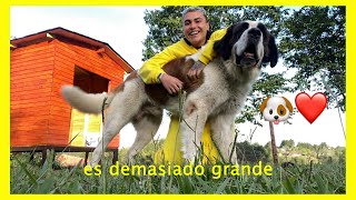 24 HORAS EN LA CASA DE MI PERRO🏠🐶