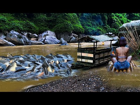 Make bamboo rafts in heavy rain to catch fish - Survival skills in the wild