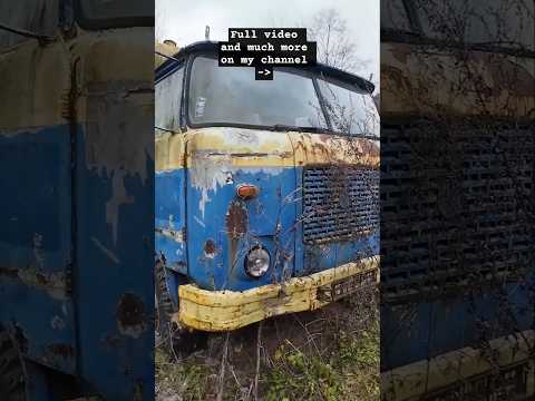 Will It Start? - Overgrown Concrete Mixer After 10 Years! #automobile #coldstart #repair