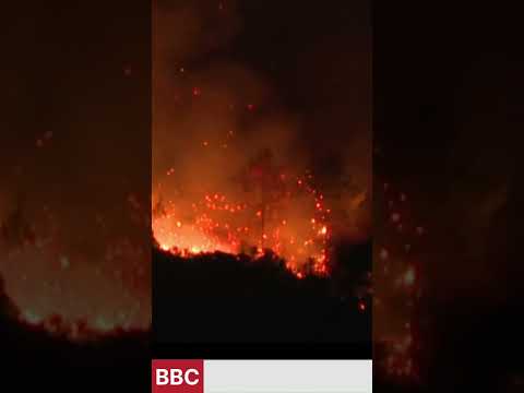 France suffering wild fire / climate change