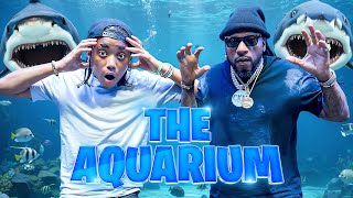 Come With Us To the Aquarium Under The Sea With Sharks