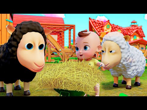 Baa Baa Black Sheep | Sharo kids Nursery Rhymes & Kids Songs