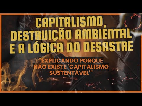 Capitalismo, destruição ambiental e a lógica do desastre