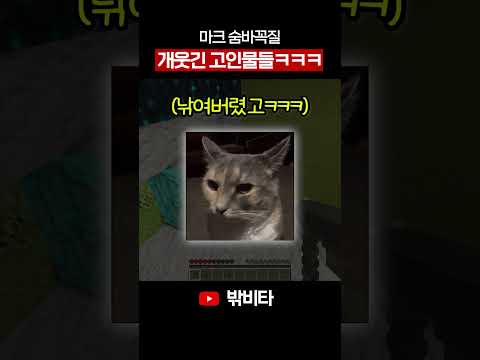 마크 숨바꼭질 고인물 IQ 166 플레이 레전드ㅋㅋㅋㅋ