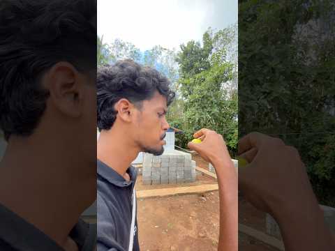 ഒരുദിവസം എന്റെ വീട് ഒരു bigg boss വീട് ആയാൽ ഞാൻ എന്തൊക്കെ ചെയ്യും എന്ന് നോക്കാം🏠😂#shorts