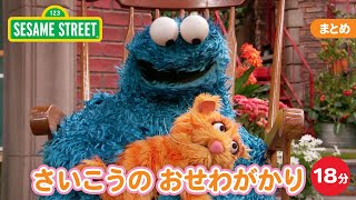 まとめ | さいこうのおせわ係｜セサミストリート｜日本語吹替版