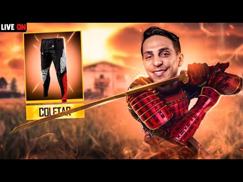 🔥 LIVE PREMIADA 🔥 CALÇA ANGELICAL VOLTOU ? 🔥 CHUVA DE CODIGUIM  🔥 TREINAMENTO ON BROTA🔥