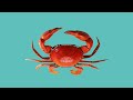 Understanding Vector Art and Illustrator