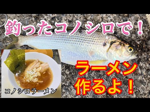 釣った魚でラーメン作ろう♪2【コノシロらーめん】