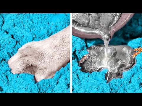 Awesome Hacks And Gadgets Every Pet Owner Should See