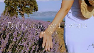 Vinko Coce - Dalmacijo, sve ti cvitalo (Official lyric video)