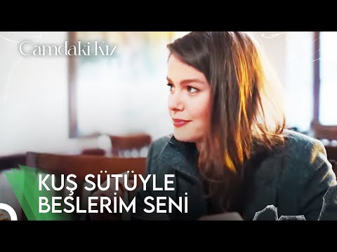 Elleriyle Besleyen Hayri Yapmışlar | Camdaki Kız