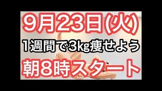 【10回やるだけ‼️】60代70代向け🔰初心者大歓迎❗️🔰朝8時スタート！無理なくお腹凹む！ナマケモノの健康LIVE