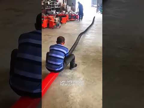 قوة الفيزياء في حياتنا اليومية 🤔