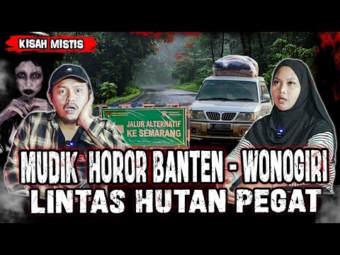 PERJALANAN HOROR SAAT MUDIK MALEM!! LEWAT JALUR  HUTAN PEGAT WONOGIRI!!
