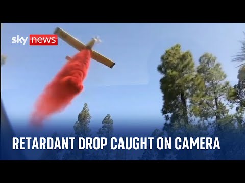 Wildfires: Plane drops red retardant on firefighters tackling blaze on Canary Islands
