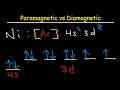 Understanding Paramagnetism and Diamagnetism