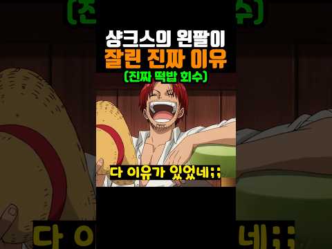 드디어 공개된 샹크스의 왼팔이 잘린 진짜 이유