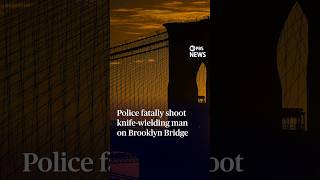 Police fatally shoot knife-wielding man on Brooklyn Bridge