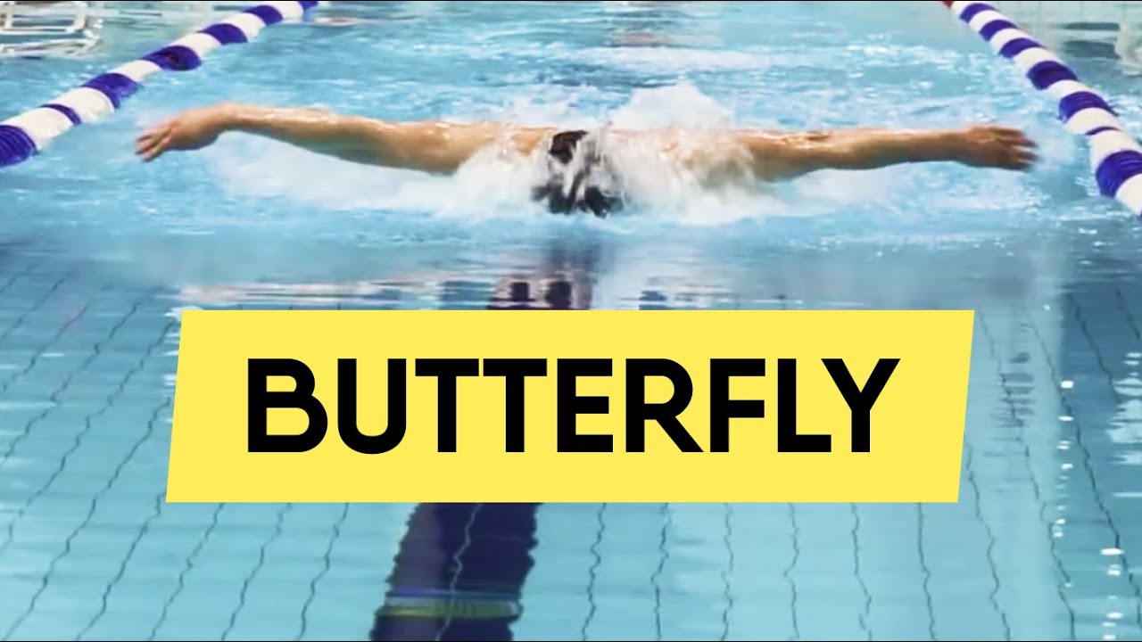 Butterfly swimming: how to swim smoothly (step-by-step guide) - SwimUp