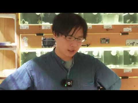 『ピンチヒッター高橋による入荷生体ご紹介』