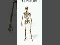 Human Body Bones and Functions