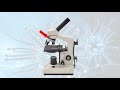 Exploring the Components of a Compound Light Microscope