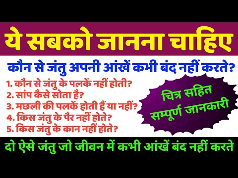 कौन सा जंतु अपनी आंखें कभी बंद नहीं करता है? | दो ऐसे जंतु जो जीवन में कभी अपनी पलकें बंद नहीं करते
