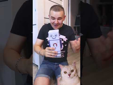 КОПИЛКА НЕ ЛОМАЕТСЯ #cat #belka