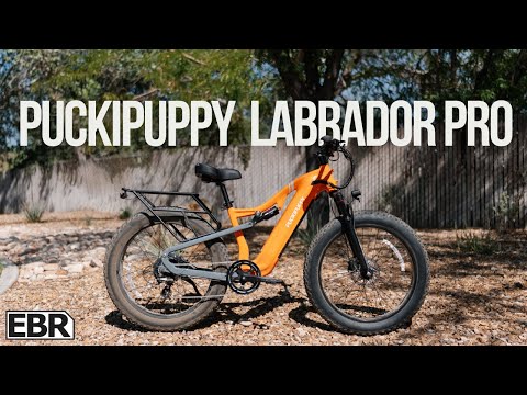 An Affordable Full-Suspension e-Bike!?! PuckiPuppy Labrador Pro Review