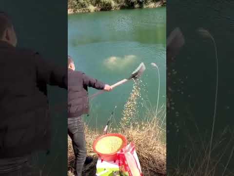 Xả mồi #fishing #caucagiaitri #cauca