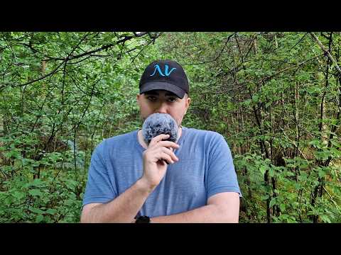 Norwegian Nature ASMR