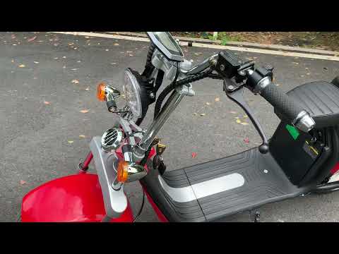 Universal electric motorcycle citycoco with mileage 120km