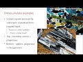 Magma Chambers and Crystallization Processes