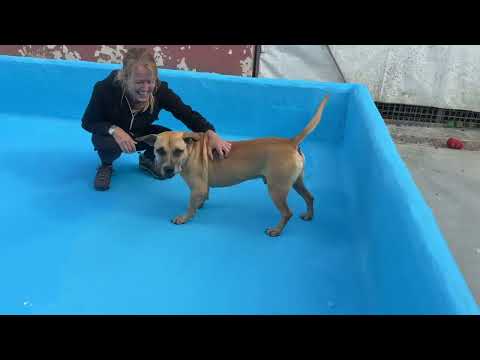click to play the video