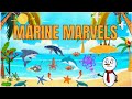 Marine Life Adaptations and Characteristics
